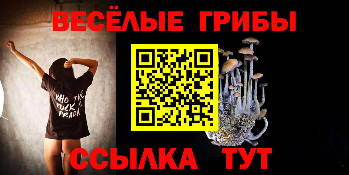 Галлюциногенные грибы прущие грибы  Вход с VPN  Семёнов  Галлюциногенные грибы прущие грибы 